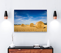 Obraz Balíky slamy na poli zs1236